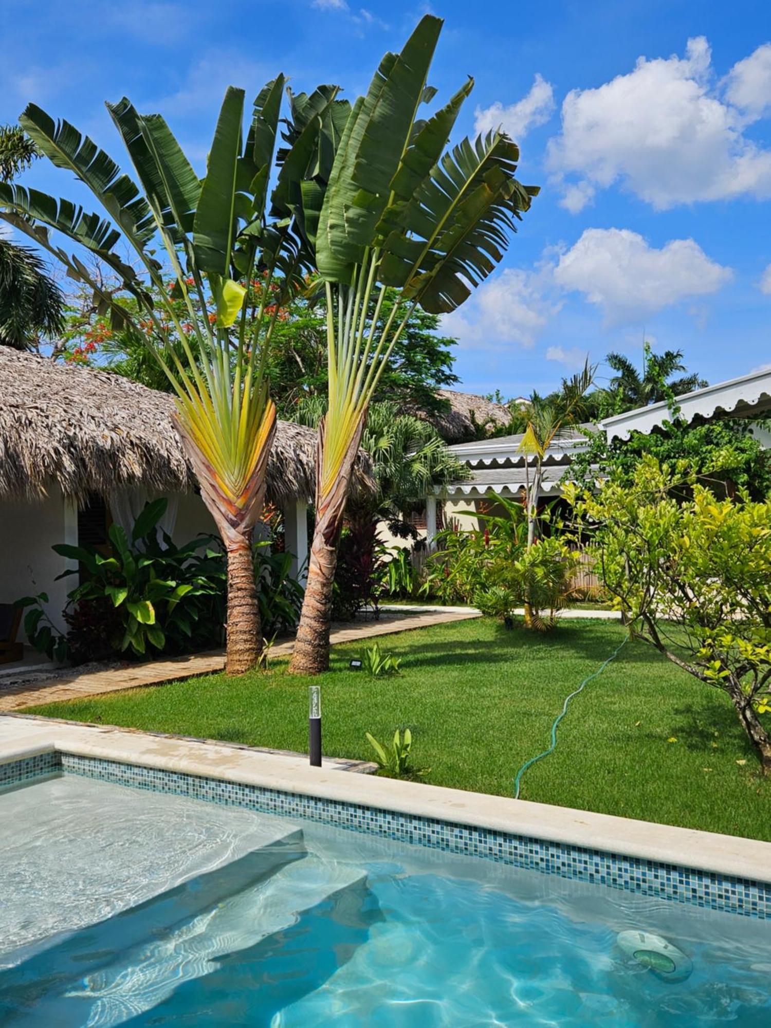 Casa Shambala B&B Las Terrenas Extérieur photo